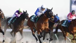 【根岸S】横山和「次も見据えて攻める競馬をした」ロードフォンスが重賞2勝目