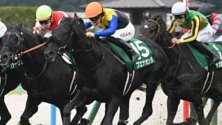 東京新聞杯ときさらぎ賞の2重賞 WIN5はキャリーオーバー/今週の競馬界の見どころ