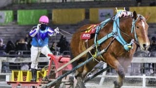 ばんえい競馬史上初の女性騎手による重賞制覇…今井千尋騎手が快挙