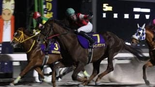 【高知・黒潮スプリンターズC】8歳の伏兵が豪脚一閃！ウインザナドゥが鮮やか差し切り