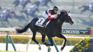 【きさらぎ賞登録馬】6億円ホース・エムズビギンなど10頭