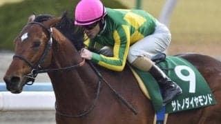単勝1.2倍の圧倒的人気 サトノダイヤモンドが制したきさらぎ賞から10年