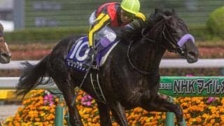 【東京新聞杯見どころ】上昇度魅力のマジックサンズ