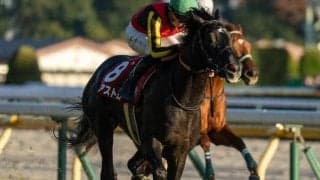 【きさらぎ賞見どころ】関西初見参のゾロアストロ