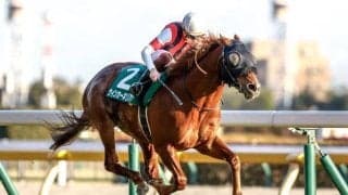 東京新聞杯勝ち時計ランキング 1位はのちのスプリンターズS覇者が見せた逃走劇