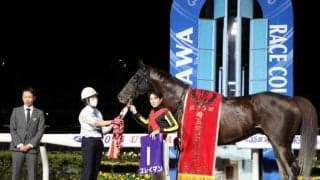 【川崎・報知オールスターC枠順】半姉は三冠牝馬ジェンティルドンナ 良血馬スレイマンは7枠10番 