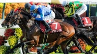 【東京新聞杯想定騎手】オフトレイルは菅原明良騎手、ブエナオンダは横山武史騎手