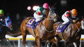 【先週のJRA抹消馬】ダート重賞3勝のセラフィックコール、22年フローラS覇者エリカヴィータなど