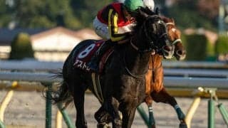 【きさらぎ賞想定騎手】ゾロアストロはT.ハマーハンセン騎手、エムズビギンは川田将雅騎手