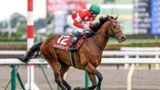 【AI予想・東京新聞杯】近2年は高齢馬の活躍が目立つマイル重賞！ 人工知能もベテランの一発に期待
