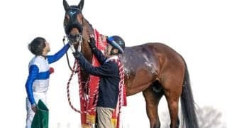 ロードカナロア産駒にトレンドの変化が？ ロードフォンスの根岸S制覇を血統面から振り返る