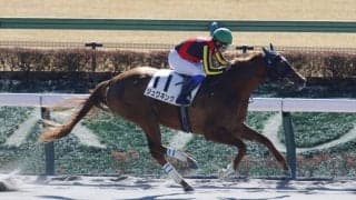 【東京3R】ジュワネングが7馬身差圧勝