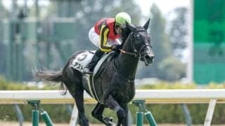 【きさらぎ賞展望】距離延長組と特定の馬体重帯に潜む高配当の使者