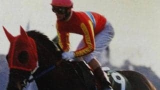 30年前のきさらぎ賞 ロイヤルタッチと後の菊花賞馬が激突した名勝負を振り返る