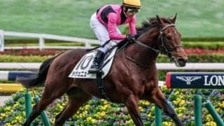 今週末で23年生まれ世代の「芝の新馬戦」が終了 今後に期待の3歳馬を紹介