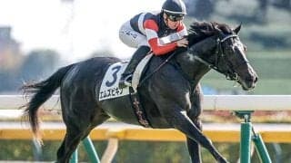 【きさらぎ賞】セレクト5.9億円のエムズビギン 史上最高額のJRA重賞勝ち馬となるか