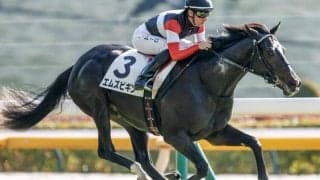 【きさらぎ賞予想オッズ】エムズビギンが予想1番人気