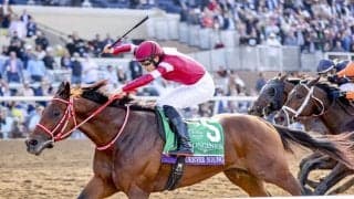 世界最高賞金レース、サウジカップの馬券発売…フォーエバーヤングら参戦