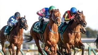 【東京新聞杯予想オッズ】ウォーターリヒトが予想1番人気