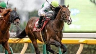 【東京新聞杯展望】格調高いマイル戦で前走GI組のエルトンバローズが巻き返しへ