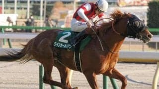 感動のGI初制覇に繋がる道のり ウインカーネリアンが制した23年東京新聞杯を回想