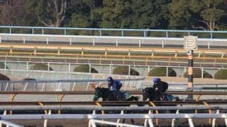 ロブチェン、共同通信杯1週前追い切り速報/栗東トレセンニュース