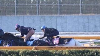 マルガ、クイーンC1週前追い切り速報/栗東トレセンニュース