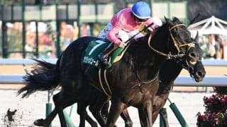 【東京新聞杯】明け9歳のサクラトゥジュール 史上最高齢Vなるか