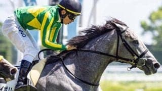 【きさらぎ賞】母は名牝ホエールキャプチャ サトノアイボリーが重賞初制覇なるか