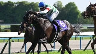 【京都記念想定】ヘデントール、エリキングなど14頭