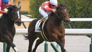 【東京新聞杯予想】AIは人気薄を◎指名 復活期待の実績馬とは