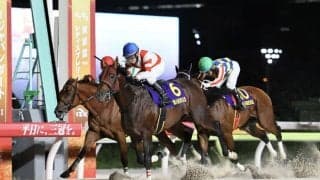 チカッパが地方へ移籍…交流重賞で活躍