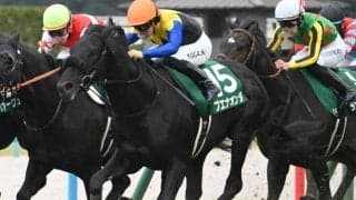 【東京新聞杯出走馬・騎手確定】ブエナオンダ＆横山武史騎手、ウォーターリヒト＆高杉吏麒騎手など16頭