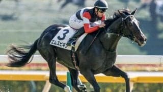 【きさらぎ賞出走馬・騎手確定】エムズビギン＆川田将雅騎手、ゾロアストロ＆T.ハマーハンセン騎手など9頭