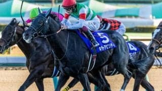 半兄はホープフルS覇者のキラーアビリティ セレクト3.2億円のヘイジュードがデビュー勝ち狙う