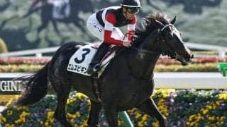 5.9億円ホースやGI馬の仔など 高額＆良血馬が揃ったきさらぎ賞