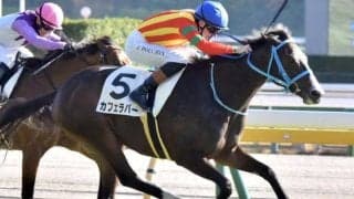 【春菜賞】名牝ジェンティルドンナの初孫 カフェラバーがデビュー2連勝なるか