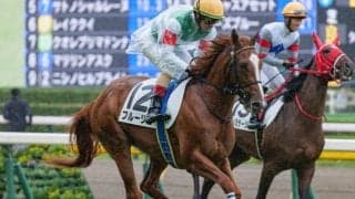 半姉はマイルCS覇者のナミュール ブルージュが2勝目なるか