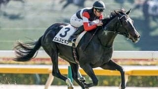 【きさらぎ賞枠順確定】エムズビギンは2枠2番、ゾロアストロは1枠1番