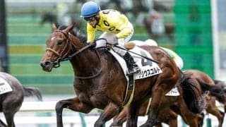 最低人気で激走した伏兵も該当 東京新聞杯で二桁人気が好走する\"3つの条件\"