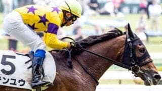 母は桜花賞馬レーヌミノル テンユウが初勝利なるか