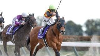 【フェブラリーS想定馬・騎手】コスタノヴァ、ダブルハートボンドなど21頭