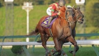 【佐賀記念】カズタンジャーなどJRA馬4頭