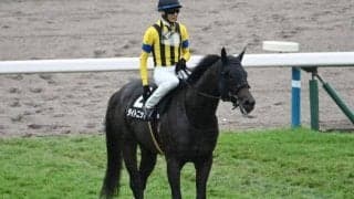 【今日の注目ポイント】京都でアルデバランSと3歳牝馬のエルフィンS