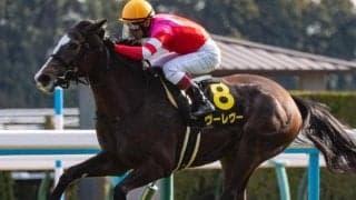 人気サイドで決着しやすいエルフィンS 押さえるべき超優秀データとは？