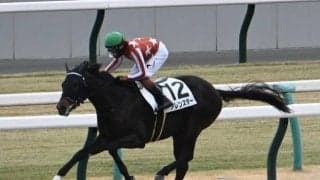 【京都4R新馬戦結果】リオンディーズ産駒の9番人気アレンスターが8馬身差で圧勝