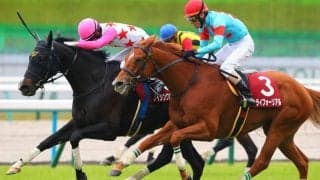 ダイシンクローバーが登録抹消…京都ハイジャンプでV