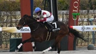 【アルデバランS結果】ゼットリアンが3馬身差完勝でオープン初V