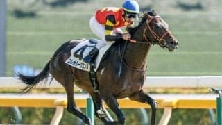 【きさらぎ賞予想】前走は相手に恵まれた可能性大！ 過去傾向からも強くは推せない危険視したい人気馬