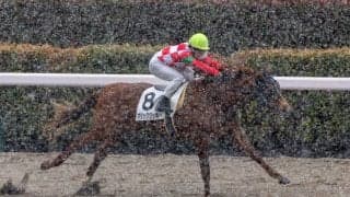 【東京7R】雪中決戦を制す！マジッククッキーが豪快5馬身差V
